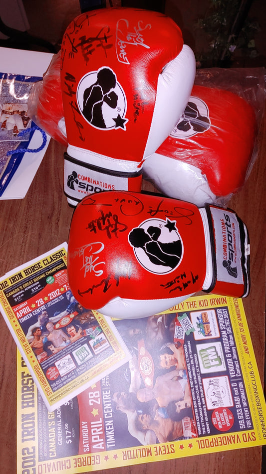 Signed Boxing Gloves - Top Canadian boxers